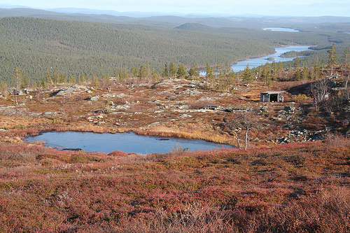 Lemmenjoki National Park